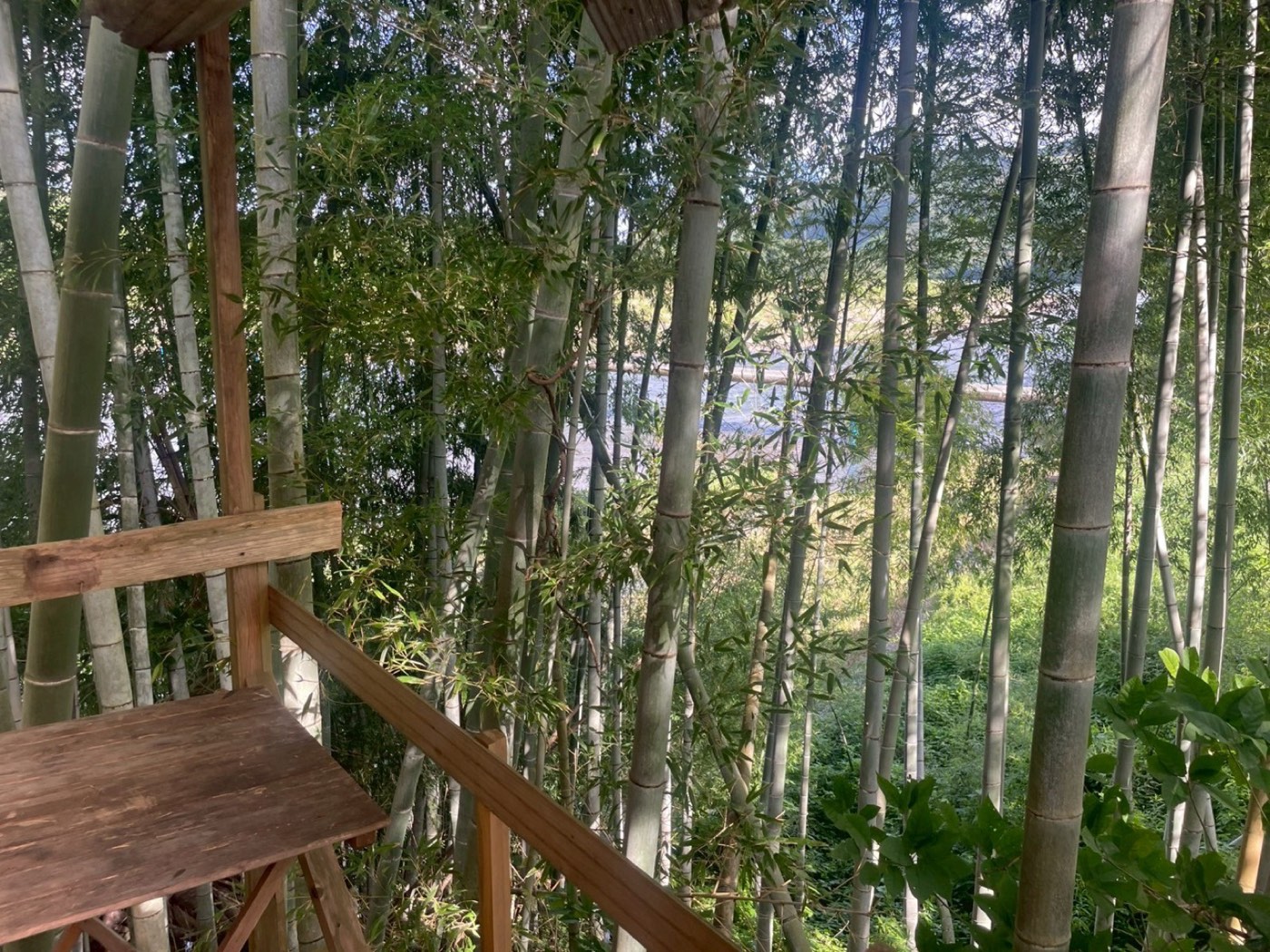 竹林と川を望むウッドデッキ