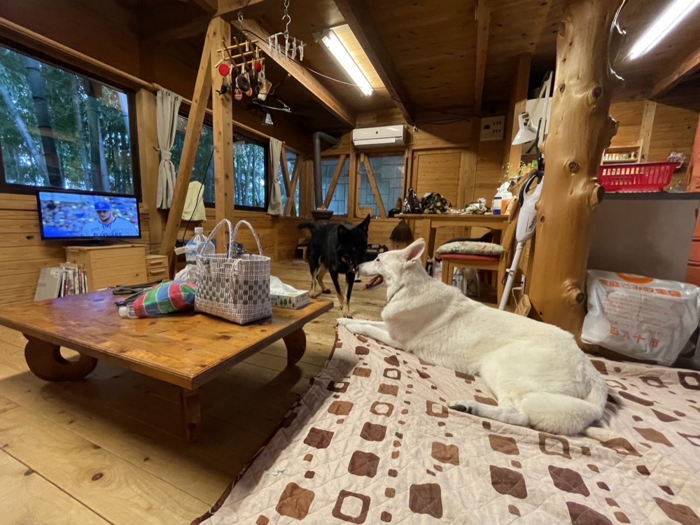 コテージに泊まったペットたち